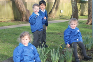St Clare's Nursery pupils on a daffodil walk